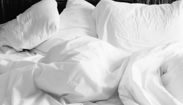 A pillow valued at thousands of dollars: Why buying eiderdown is so ...